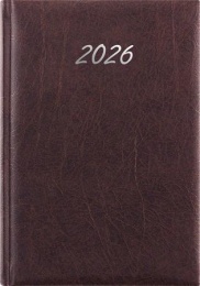 Naptár, tervező, A5, napi, DAYLINER, "Rebel", antracit